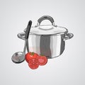 Stainless steel pan and ladle with tomatoes isolated on white background Royalty Free Stock Photo