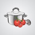 Stainless steel pan and ladle with tomatoes isolated on white background Royalty Free Stock Photo