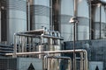 Stainless steel pipes and storage tanks. Industrial wine production, metal pipeline in winery fermentation and Royalty Free Stock Photo