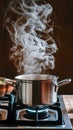 Stainless steel pot on gas stove emits swirling steam at home Royalty Free Stock Photo