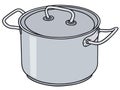 Stainless steel pot Royalty Free Stock Photo