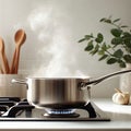 A stainless steel pot with the lid open is warmed on a gas stove