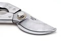 Stainless steel pruning shear Royalty Free Stock Photo