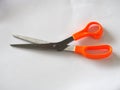 Stainless steel Scissors handle is made of plastic orange color Royalty Free Stock Photo