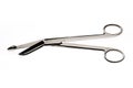 Stainless steel scissors1 Royalty Free Stock Photo