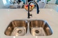 Stainless steel sink with two bowls and black curved faucet against fruit basket Royalty Free Stock Photo