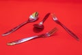 Stainless Steel Spoon and Fork Set