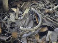 Stainless and Steel waste in junk yard,rust and damaged metal parts