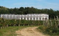 Stainless steel wine fermentation tanks among the vineyards with a country road in front Royalty Free Stock Photo