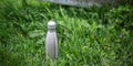 Stainless thermo bottle in green grass.