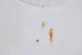 Stains of sauce on white t-shirt, top view