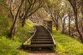 Stair in the forest, new zealand Royalty Free Stock Photo