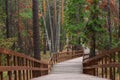 Stair road in a beautiful forest. The concept of the onset of summer. Royalty Free Stock Photo