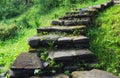 Stair of stones. Decorative element in the garden. Design and architecture.