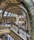Stair top view of London's Natural History Mueum,lit by summertime sunlight Royalty Free Stock Photo