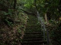 Stair walk way in green rain forest with glow green plants. Waterfall in Nan, Thailand. Royalty Free Stock Photo