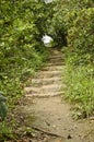 Stair way in forest Royalty Free Stock Photo