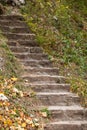 Stair way in forest Royalty Free Stock Photo