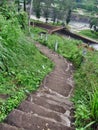 Stair Way to the park Royalty Free Stock Photo