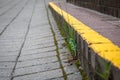 Stair with yellow line for caution. Safety marks. Green grass