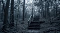 Staircase in the forest in foggy weather. Black and white photo Royalty Free Stock Photo