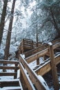 Winter Staircase in Forest Royalty Free Stock Photo