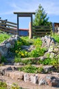 The staircase with grass and flowers in summer