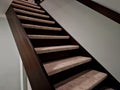 the staircase in the house is lined with carpeted stairs. the carpet is