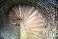 Staircase inside Barcelona Lighthouse Royalty Free Stock Photo