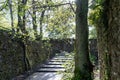 A staircase leading through the ruins of a castle covered with green moss and plants Royalty Free Stock Photo
