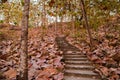 Staircase Leading to the trees in fall season Royalty Free Stock Photo
