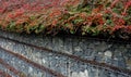 a staircase-like gabion wall is a supporting structure. Royalty Free Stock Photo