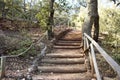 Staircase made with wooden logs