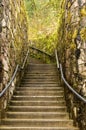 Staircase in moss Royalty Free Stock Photo