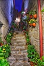 Staircase at night with flowers. Climb stairs to a mystery in a dark park. Royalty Free Stock Photo