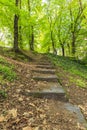 Staircase in the park going to the top covered with dry leaves Royalty Free Stock Photo