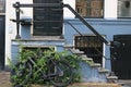 Staircase resting on an old bicycle half-hidden by leaves of a c