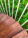 staircase spiral brown color in the garden