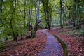 Staircase 1000 steps through an autumn park in Nalchik Royalty Free Stock Photo