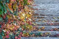 Staircase with stone steps in autumn park. Bright red leaves of maiden grapes Royalty Free Stock Photo