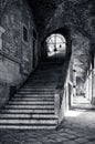 Staircase with stone steps to the upper level of the Palladian Basilica in the city of Vicenza in Italy in monochrome