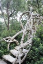 Staircase structure at Old Mill Park, North Little Rock Royalty Free Stock Photo