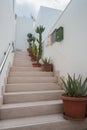 Staircase with succulant plants in pots Royalty Free Stock Photo