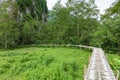 Staircase to Patok Cave in Nong Khiaw - Laos