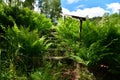 Staircase to the Sky Royalty Free Stock Photo