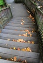 Staircase with wood handrails,covered with leaves