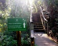 Staircase in the woods along hiking trail