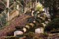 Staircases in the forest