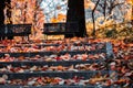 stairs with autumn leaves view on old stone steps in autumn park Colorful fallen maple leaves on granite stairs. fall leaves text Royalty Free Stock Photo