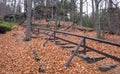Stairs in autumn wood Royalty Free Stock Photo